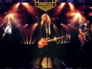 Night Ranger - Rock In Japan - Greatest Hits Live - Purple Haze [New Vinyl LP] C