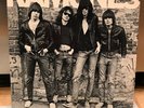 the RAMONES Self-Titled LP 1976 TERRE HAUTE Sire SASD-7520 punk rock Please Read