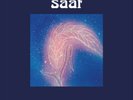 Emtidi Saat (Vinyl) 12