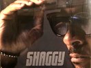 SHAGGY Hot Shot 2020 EU Polydor Gatefold 2LP BOOMBASTIC Luv Me IT WASN'T ME