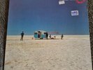 Cold Chisel Circus Animals 1981 Vinyl Record