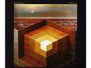 Black Mountain In the Future (Vinyl)