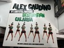 Alex Gaudino Ft. Crystal Waters - Destination Calabria 12” Vinyl