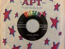 Rockabilly Surf Instros 45 The Starfires - Fender Bender/Camel Walk APT