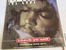 Check Yo Self [Maxi Single] by Ice Cube (Vinyl, Sep-1993, Priority Records)