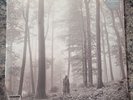 TAYLOR SWIFT 2 LP - Folklore 