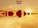 Kate Bush | Brown Vinyl LP | Aerial (2018 Remaster) | Fish People