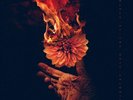 Wolves At the Gate Eulogies (Vinyl) 12
