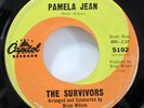 the SURVIVORS 45 Pamel Jean / After the Game CAPITOL Original press Surf  Bd 32