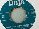 Jay Haggard, Paul Kepler, El Dorados and Len & Judy 45rpm's; Original