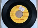 Lowell Shyette Redd Robb Rare Chicago Garage Little Boy Blues Teenbeat 45