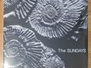 The Sundays Reading, Writing, and Arithmetic USA Grey Vinyl LP Sealed MINT