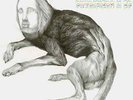 Thee Oh Sees | White Vinyl LP | Putrifiers 2 | In The Red