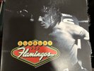 Bunbury - Flamingos (2011) LP Album