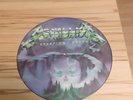 METALLICA - CREEPING DEATH PICTURE LP