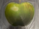 An Interview With The Beatles at Abbey Road Apple Vinyl Made in England
