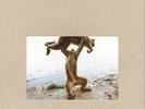 Shellac Dude Incredible (Vinyl) 12