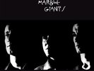 Young Marble Giants - Colossal Youth  [VINYL]