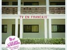 We Are Scientists TV En Francais (Vinyl)