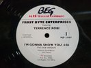 TERRENCE ROBI IM GONNA SHOW YOU MJP RECORD COMPANY FROST BYTE ENTERTAINMENT