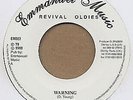 Desi Roots - Warning (7