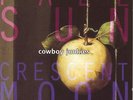 Cowboy Junkies Pale Sun Crescent Moon (Vinyl)