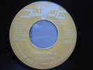 Desi Roots - Ribbon in the sky