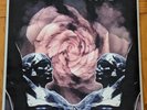 Death In June Rose Clouds of Holocaust Vinyl LP fist pressing NER 95 VG
