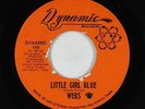 Northern Soul 45 - Webs - Little Girl Blue/Don't Ever Hurt Me - Dynamic - VG++
