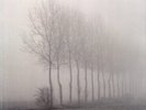 Marisa Anderson Cloud Corner (Vinyl)