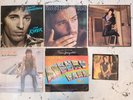 Bruce Springsteen LP's Records X 6 - The River, Greetings, The Wild, etc