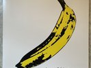 Velvet Underground & Nico Andy Warhol (2000) Vinyl LP Record 180 Gram V6-5008