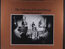ARNOLD DREYBLATT / THE ORCHESTRA OF EXCITED STRINGS: nodal excitation DRAG CITY