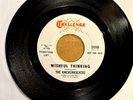 The Knickerbockers ‎– Wishful Thinking PROMO - 7