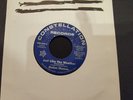 NORTHERN SOUL MOTOWN MOD VINYL 45   NOLAN CHANCE - JUST LIKE THE WEATHER *NR*