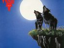 Wolf Edge of the World Vinyl LP NWOBHM Black Axe iron maiden aragorn blitzkrieg