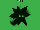 Depeche Mode Exciter (The Singles) (Vinyl)