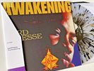 Lord Finesse - The Awakening (VMP Splatter Vinyl Me Please) | LP