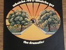 Whatcha See Is Whatcha Get The Dramatics 1971 Vinyl LP  Record Volt VOS-6018 VG+