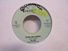 Ad-Libs Spring And Summer/I Don't Need No Fortune Teller Northern Soul 7