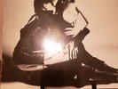 Scorpions 