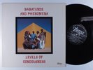 BABATUNDE & PHENOMENA Levels Of Consciousness THERESA LP VG+ y