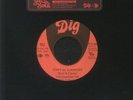 DIAMONETTES, The - Don't Be Surprised - Vinyl (7