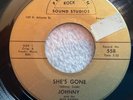 Johnny & The Nite Ryders :She’s Gone/ I Had A Girl - 7” 45 Rpm, Garage Rock Band