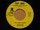 The Camel Drivers Michigan rock 45 The Grass Looks Greener bw It's Gonna Rain
