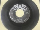 The Catalinas 1961 DOO WOP 45 Hey Little Girl / Hey Senorita ZEBRA Mint/M- HEAR