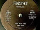 TERRY NOVA - Push With Size - 12in RARE DISCO FUNK;BREAKS;PROSPECT