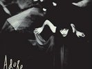 The Smashing Pumpkins Adore (Vinyl LP) 12