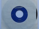 ROOSEVELT SYKES Sputnik Original US 45 House Of Sound BLUES RnB 7” *LISTEN*