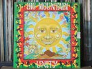 BIG MOUNTAIN  UNITY  ORIGINAL GLORIOUS  FIRST PRESS  HARD TO FIND 1994 VINYL  LP